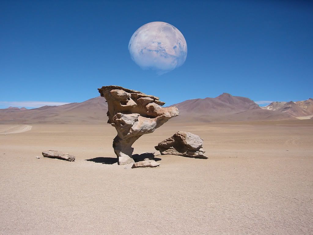 Dali Desert