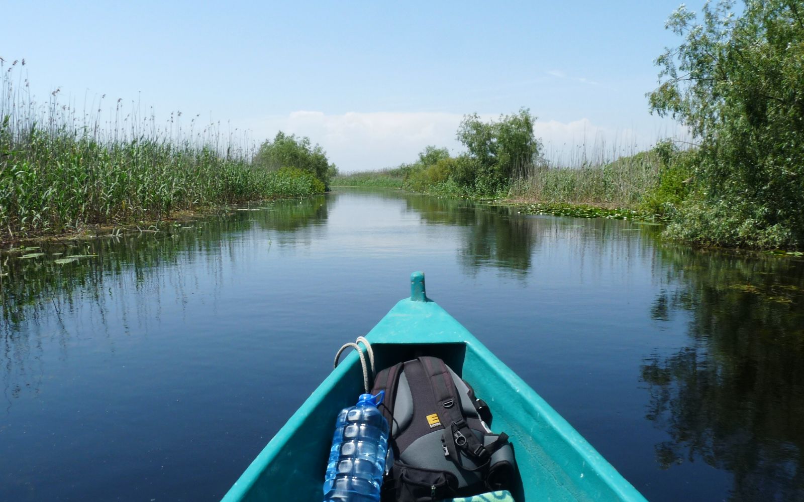 Danube Delta