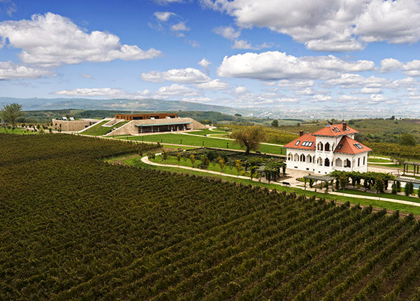 Try Romanian Wine