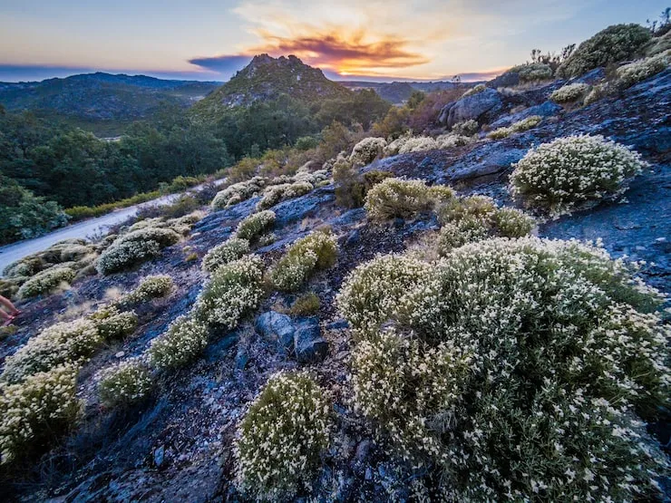 Top 13 Most Beautiful Natural Wonders in Australia:
