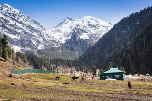 How To Travel Kashmir On Budget 2026